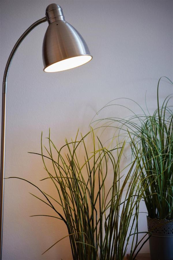 Cosy Apartment In Budapest Downtown With Free Garage Parking エクステリア 写真